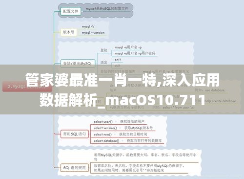 管家婆最準(zhǔn)一肖一特,深入應(yīng)用數(shù)據(jù)解析_macOS10.711