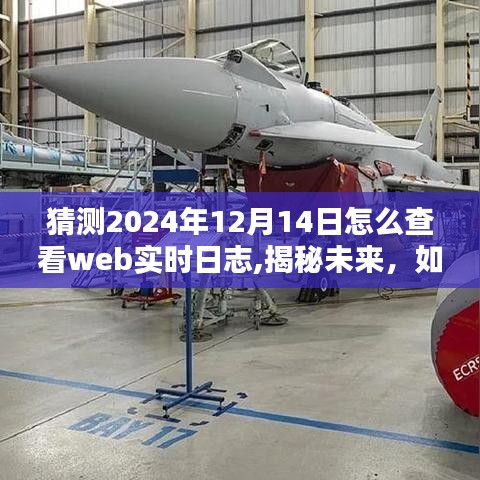揭秘未來網(wǎng)絡(luò)動態(tài)，如何在線實(shí)時查看Web日志洞悉2024年12月14日網(wǎng)絡(luò)實(shí)時動態(tài)解析