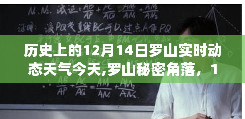 羅山秘密角落美食之旅，探尋12月14日獨特天氣下的驚喜美食與實時動態(tài)天氣體驗