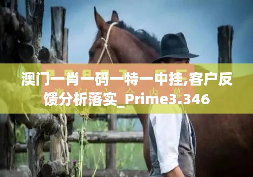 澳門(mén)一肖一碼一特一中掛,客戶反饋分析落實(shí)_Prime3.346