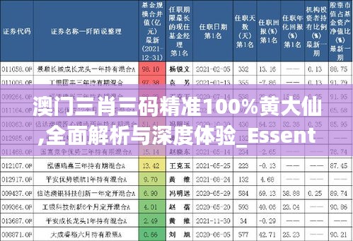澳門三肖三碼精準(zhǔn)100%黃大仙,全面解析與深度體驗(yàn)_Essential7.969