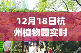 杭州植物園12月18日實(shí)時(shí)預(yù)約入園指南，輕松入園步驟詳解