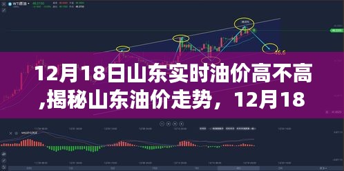 揭秘山東油價走勢，揭秘油價高漲背后的真相與最新油價動態(tài)分析（12月18日）