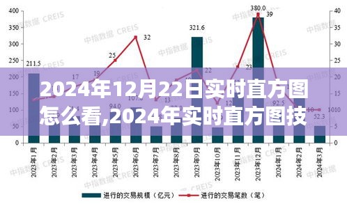 深度解析，如何解讀2024年12月22日市場(chǎng)走勢(shì)的直方圖應(yīng)用與實(shí)時(shí)技術(shù)評(píng)測(cè)