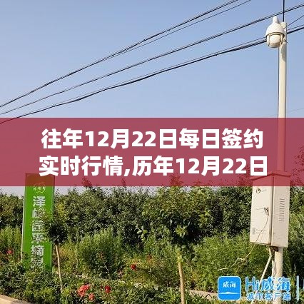 揭秘歷年與實(shí)時(shí)動(dòng)態(tài)，12月22日簽約行情深度解析與商機(jī)洞察
