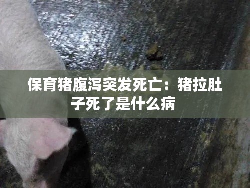 百鳥歸巢 第3頁
