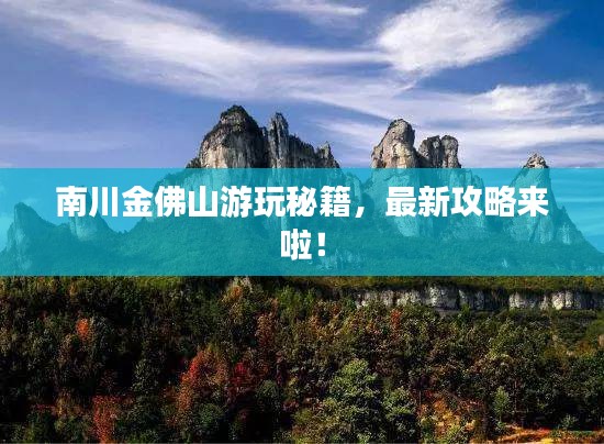 南川金佛山游玩秘籍，最新攻略來啦！