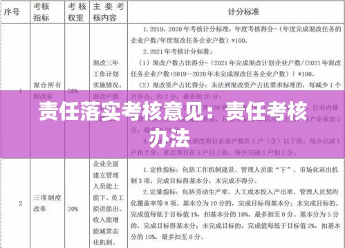 責(zé)任落實考核意見：責(zé)任考核辦法 