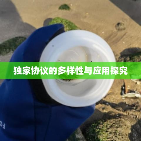 獨家協(xié)議的多樣性與應用探究