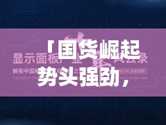 「國貨崛起勢頭強(qiáng)勁，中國制造崛起之路深度解析」