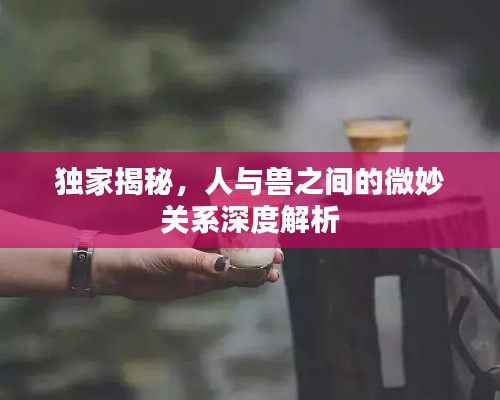 獨家揭秘，人與獸之間的微妙關系深度解析
