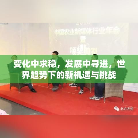 變化中求穩(wěn)，發(fā)展中尋進，世界趨勢下的新機遇與挑戰(zhàn)