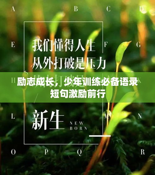 仙風(fēng)道骨 第2頁(yè)