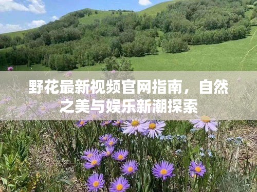 野花最新視頻官網(wǎng)指南，自然之美與娛樂新潮探索
