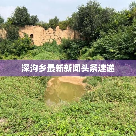 深溝鄉(xiāng)最新新聞?lì)^條速遞