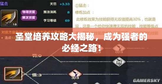 圣堂培養攻略大揭秘，成為強者的必經之路！
