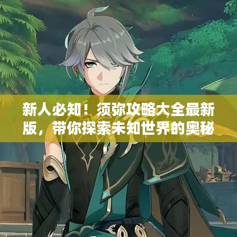 新人必知！須彌攻略大全最新版，帶你探索未知世界的奧秘
