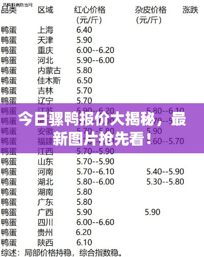 今日騾鴨報價大揭秘，最新圖片搶先看！