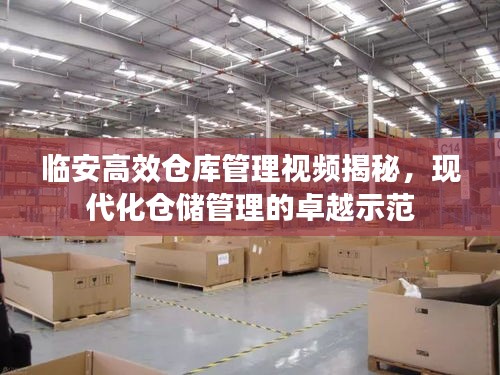 臨安高效倉庫管理視頻揭秘，現(xiàn)代化倉儲(chǔ)管理的卓越示范