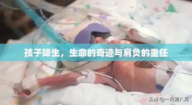 貌美如花 第2頁