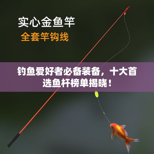 釣魚愛好者必備裝備，十大首選魚桿榜單揭曉！