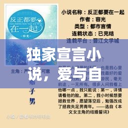 獨(dú)家宣言小說，愛與自由的勇敢追求之旅