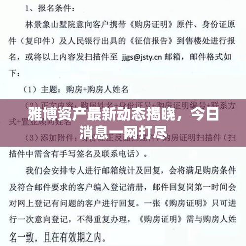 雅博資產最新動態揭曉，今日消息一網打盡