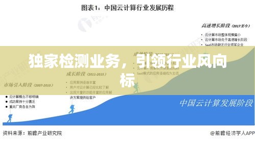 仙姿佚貌