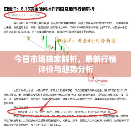 綽約多姿 第2頁(yè)