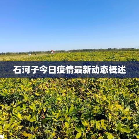 石河子今日疫情最新動(dòng)態(tài)概述