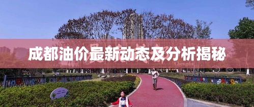 成都油價最新動態(tài)及分析揭秘
