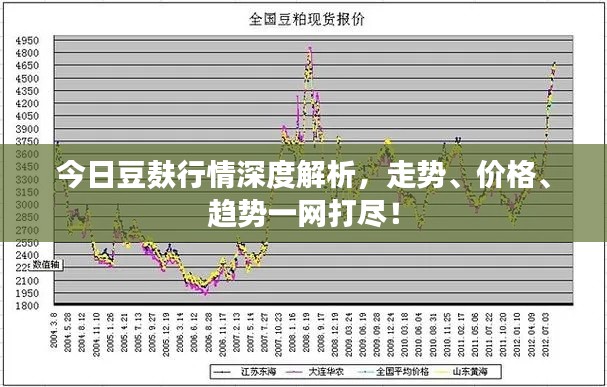 今日豆麩行情深度解析，走勢、價格、趨勢一網(wǎng)打盡！