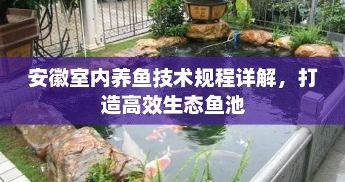安徽室內養魚技術規程詳解，打造高效生態魚池