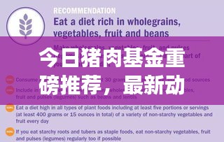 今日豬肉基金重磅推薦，最新動態(tài)、策略分析與盈利潛力探討