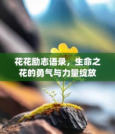 花花勵志語錄，生命之花的勇氣與力量綻放