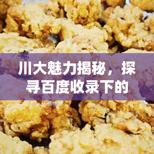 川大魅力揭秘，探尋百度收錄下的精彩世界！