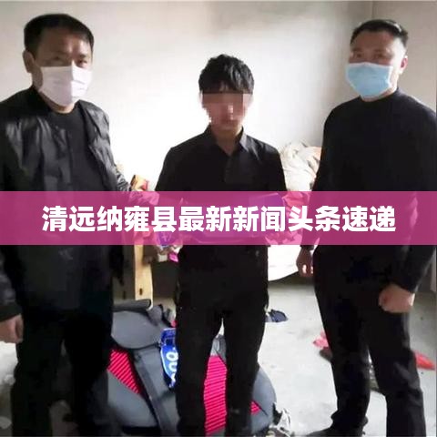 飛鳥驚蛇