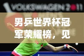 男乒世界杯冠軍榮耀榜，見證輝煌時刻，乒壇精英一覽無余