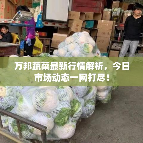 風度翩翩