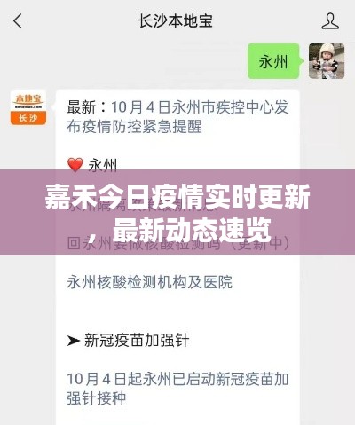 嘉禾今日疫情實(shí)時更新，最新動態(tài)速覽