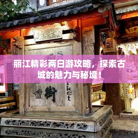 早生貴子