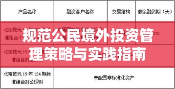 規(guī)范公民境外投資管理策略與實踐指南