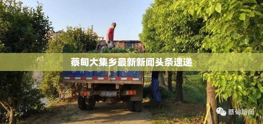 三人成虎