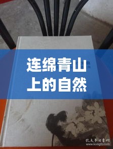 花容月貌
